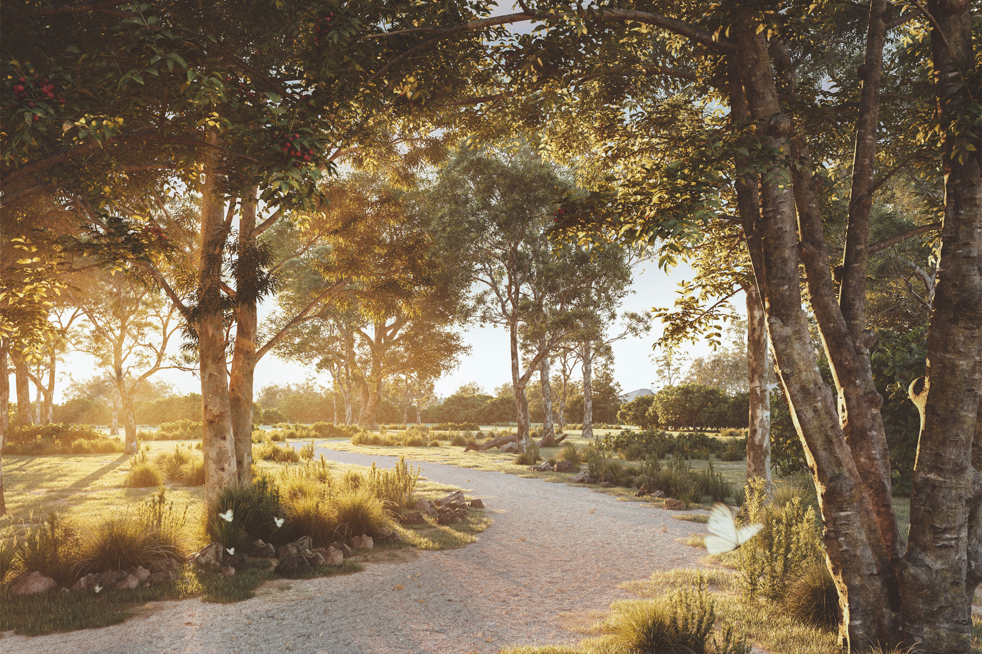 Highett Common parkwest