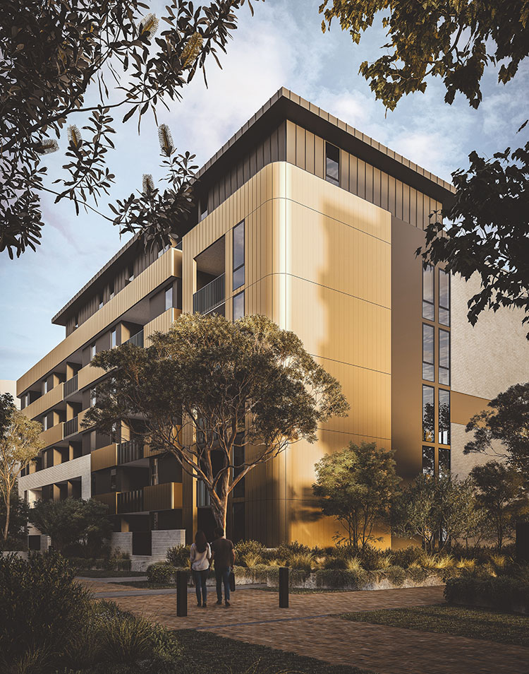   Highett Common mewscollection