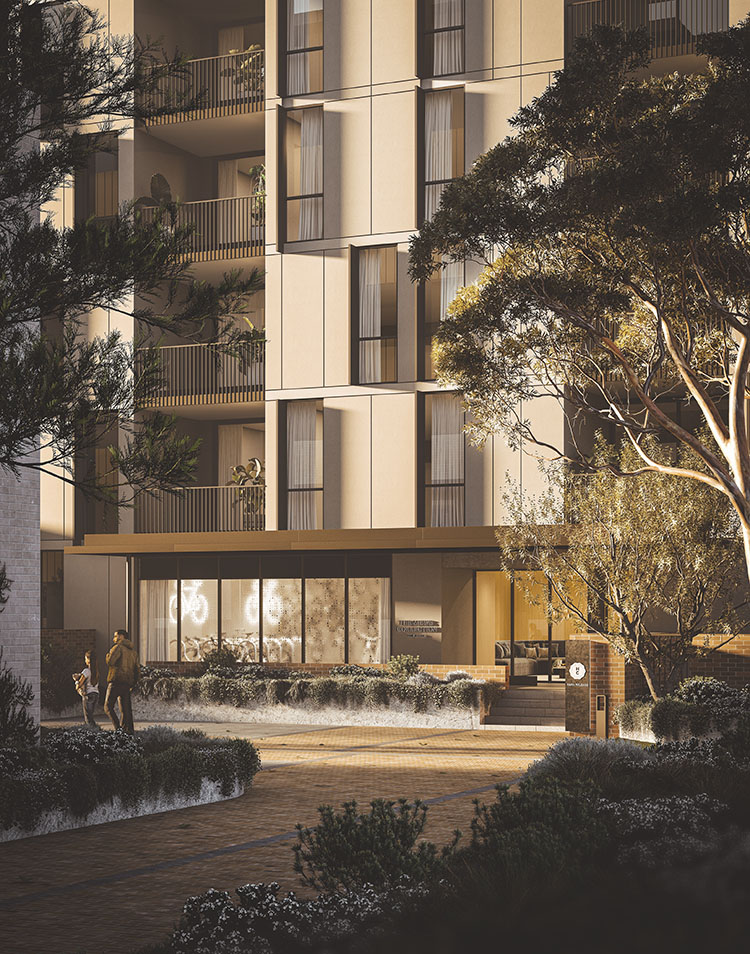   Highett Common mewscollection